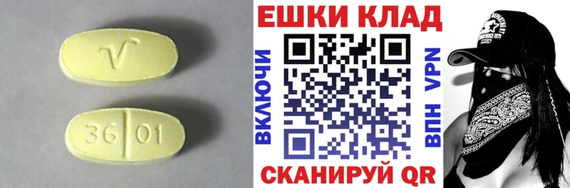 Купить закладки  Пыталово  Экстази Дубай 