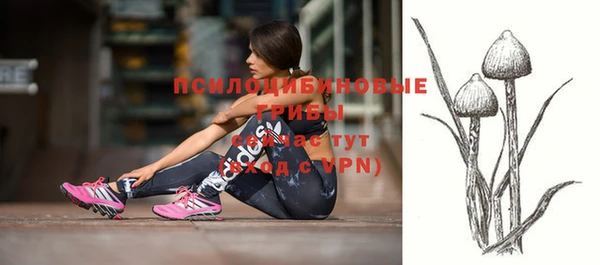 мескалин Щучье