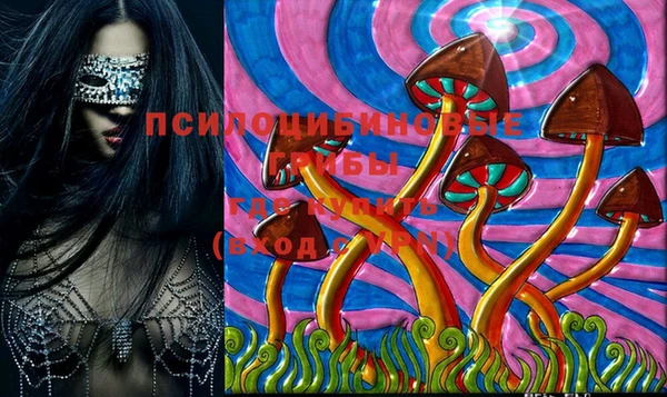 МДПВ Щёлкино